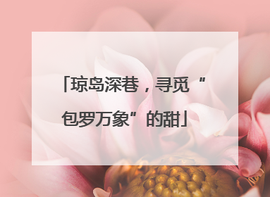琼岛深巷，寻觅“包罗万象”的甜