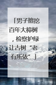 男子擅挖百年大樟树，检察护绿让古树“老有所依”