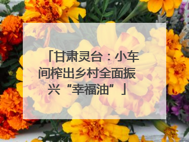 甘肃灵台：小车间榨出乡村全面振兴“幸福油”