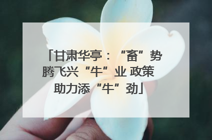 甘肃华亭：“畜”势腾飞兴“牛”业 政策助力添“牛”劲