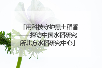 用科技守护黑土稻香——探访中国水稻研究所北方水稻研究中心
