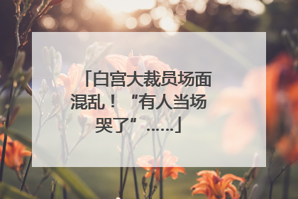白宫大裁员场面混乱！“有人当场哭了”……