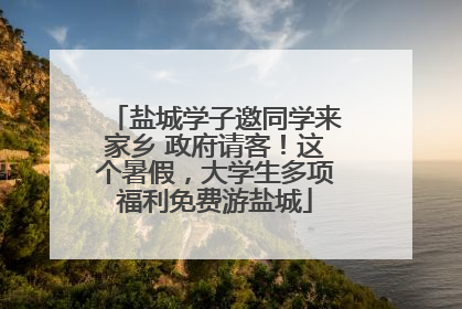 盐城学子邀同学来家乡 政府请客！这个暑假，大学生多项福利免费游盐城