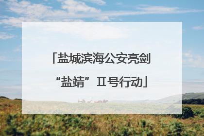盐城滨海公安亮剑“盐靖”Ⅱ号行动