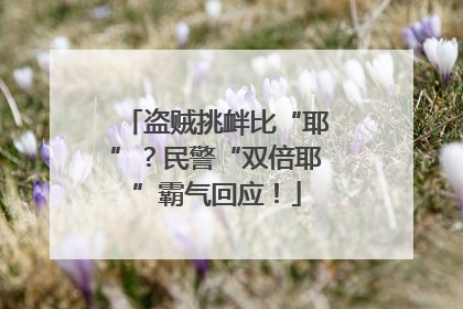 盗贼挑衅比“耶”？民警“双倍耶”霸气回应！