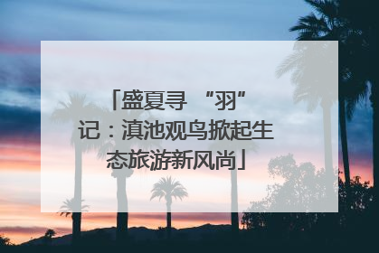 盛夏寻 “羽” 记：滇池观鸟掀起生态旅游新风尚