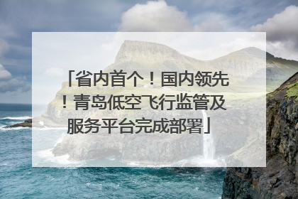 省内首个！国内领先！青岛低空飞行监管及服务平台完成部署