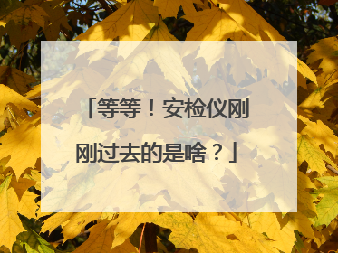 等等！安检仪刚刚过去的是啥？