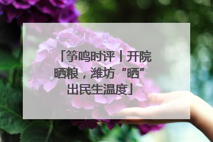 筝鸣时评丨开院晒粮，潍坊“晒”出民生温度