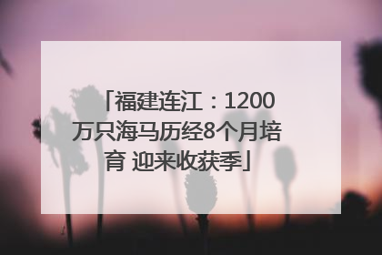 福建连江：1200万只海马历经8个月培育 迎来收获季