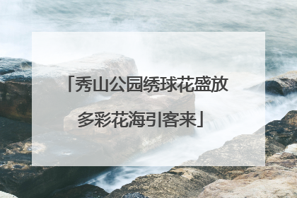 秀山公园绣球花盛放 多彩花海引客来