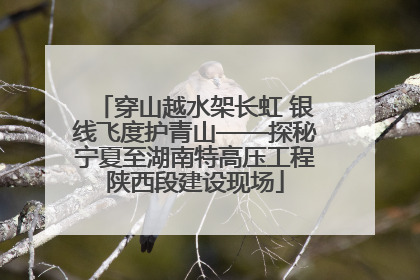 穿山越水架长虹 银线飞度护青山——探秘宁夏至湖南特高压工程陕西段建设现场