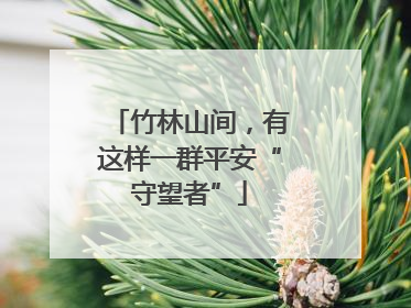 竹林山间，有这样一群平安“守望者”