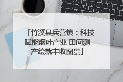 竹溪县兵营镇：科技赋能烟叶产业 田间测产绘就丰收图景