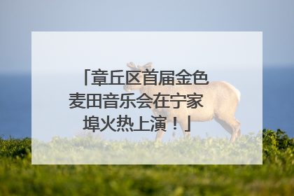 章丘区首届金色麦田音乐会在宁家埠火热上演！