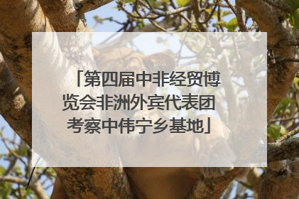 第四届中非经贸博览会非洲外宾代表团考察中伟宁乡基地