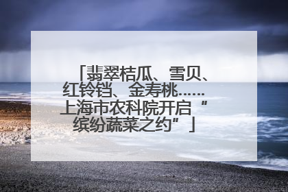 翡翠桔瓜、雪贝、红铃铛、金寿桃……上海市农科院开启“缤纷蔬菜之约”