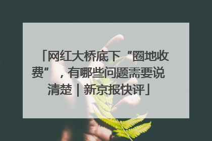 网红大桥底下“圈地收费”，有哪些问题需要说清楚｜新京报快评