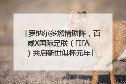 罗纳尔多燃情助阵，百威X国际足联（FIFA）共启新世俱杯元年