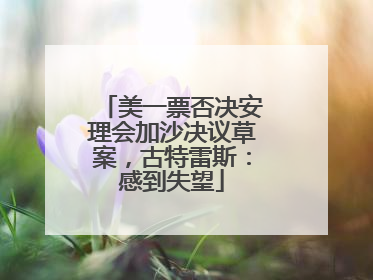 美一票否决安理会加沙决议草案，古特雷斯：感到失望