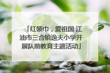 红领巾，爱祖国 江油市三合镇逸夫小学开展队前教育主题活动