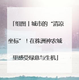 组图丨城市的“清凉坐标”！在株洲神农城里感受绿意与生机