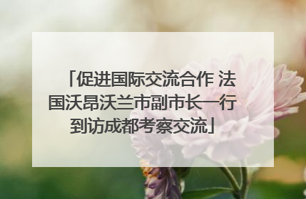 促进国际交流合作 法国沃昂沃兰市副市长一行到访成都考察交流