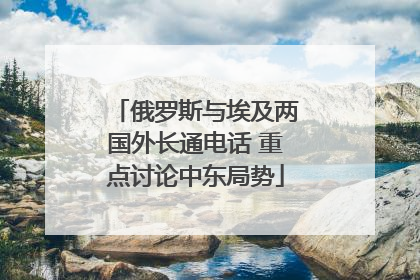 俄罗斯与埃及两国外长通电话 重点讨论中东局势