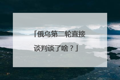 俄乌第二轮直接谈判谈了啥？