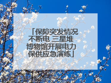 保障突发情况不断电 三星堆博物馆开展电力保供应急演练