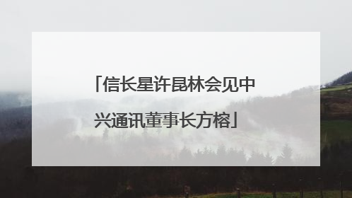 信长星许昆林会见中兴通讯董事长方榕