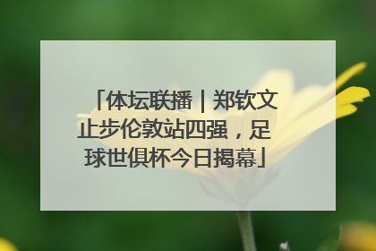 体坛联播｜郑钦文止步伦敦站四强，足球世俱杯今日揭幕
