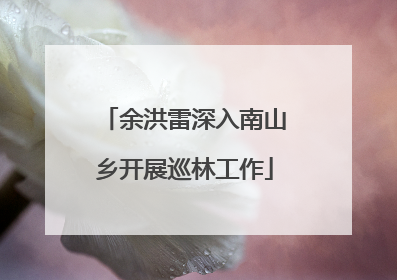 余洪雷深入南山乡开展巡林工作