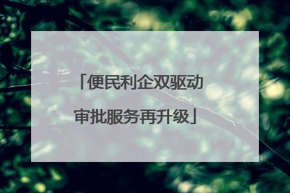 便民利企双驱动 审批服务再升级