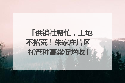 供销社帮忙，土地不撂荒！朱家庄片区托管种高粱促增收