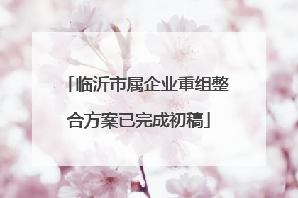 临沂市属企业重组整合方案已完成初稿