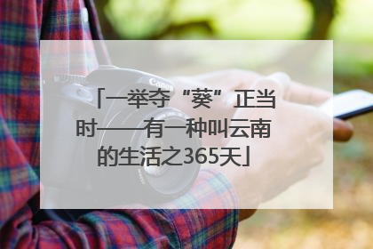 一举夺“葵”正当时——有一种叫云南的生活之365天
