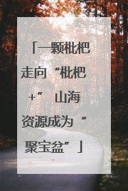 一颗枇杷走向“枇杷+” 山海资源成为“聚宝盆”
