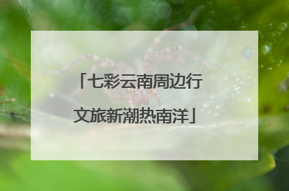 七彩云南周边行 文旅新潮热南洋