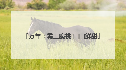 万年：霸王脆桃 口口鲜甜