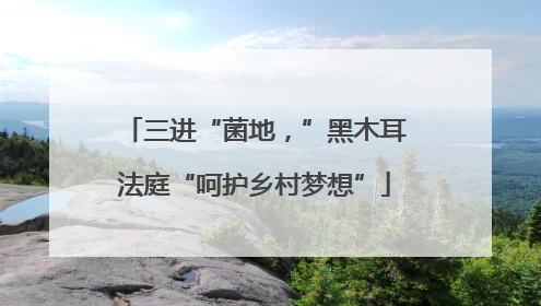 三进“菌地，”黑木耳法庭“呵护乡村梦想”