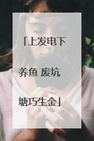 上发电下养鱼 废坑塘巧生金