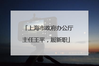 上海市政府办公厅主任王平，履新职