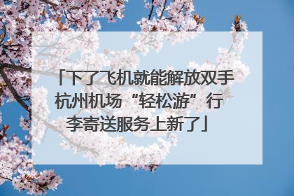 下了飞机就能解放双手 杭州机场“轻松游”行李寄送服务上新了