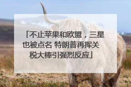 不止苹果和欧盟，三星也被点名 特朗普再挥关税大棒引强烈反应