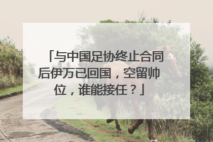 与中国足协终止合同后伊万已回国，空留帅位，谁能接任？
