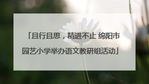 且行且思，精进不止 绵阳市园艺小学举办语文教研组活动