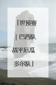 世预赛｜巴西队战平厄瓜多尔队