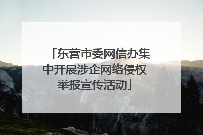 东营市委网信办集中开展涉企网络侵权举报宣传活动