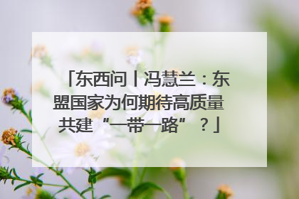 东西问丨冯慧兰：东盟国家为何期待高质量共建“一带一路”？